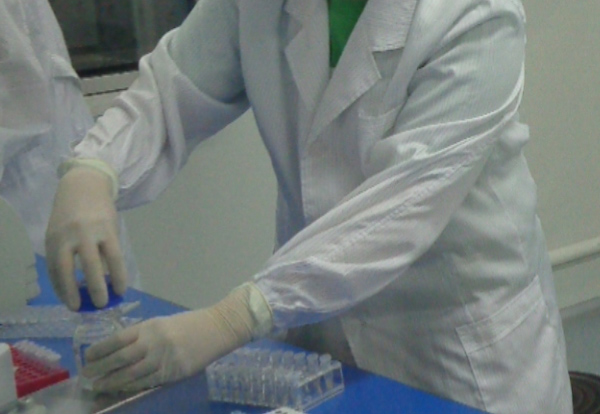 青岛亲子鉴定在哪里有,