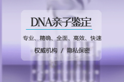 青岛户籍亲子鉴定哪里做 青岛户籍亲子鉴定哪里做
