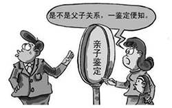 青岛亲子鉴定咨询机构哪里有,青岛亲子鉴定准确吗 青岛亲子鉴定咨询机构哪里有,青岛亲子鉴定准确吗