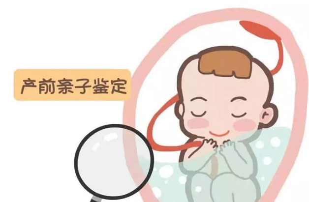 青岛孕期亲子鉴定正规机构在哪,青岛孕期亲子鉴定结果准不准确 青岛孕期亲子鉴定正规机构在哪,青岛孕期亲子鉴定结果准不准确